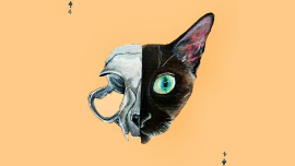 animal 1.jpg