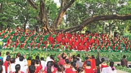 Chhaayanaut