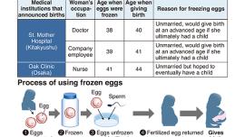 egg_graphic_web.jpg
