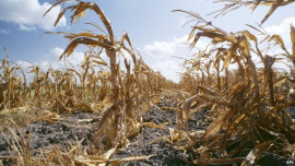 Global-warming-1-NS.jpg
