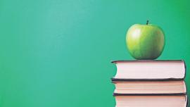 higher education