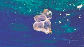 plastic1.jpg