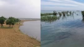 support-people-of-Tanguar-Haor.jpg