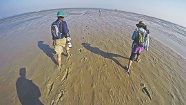 Tanguar Haor
