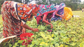 womens work 1.jpg