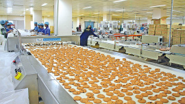 pran-rfl-industrial-park.jpg