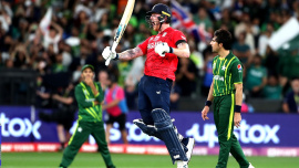 cricket.jpg