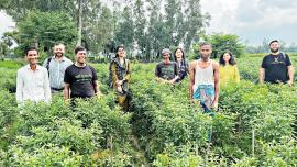 veg-farm.jpg