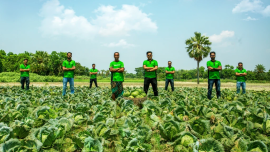 Agri-tech startup Fashol Tk 10 Crore pre-seed funding