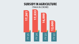Impact of reduced agricultural subsidy on Bangladeshi farmers