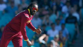 Chris Gayle 
