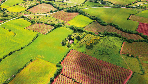 land-registration.jpg