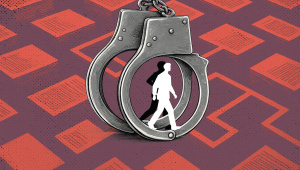 OP_1.jpg