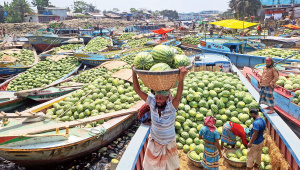 Watermelon-1.jpg