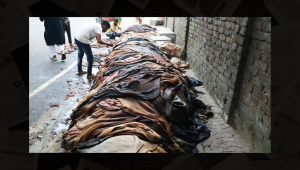 1_Qurbani hides.png