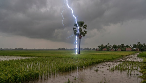 lightning strike deaths in Bangladesh 2026