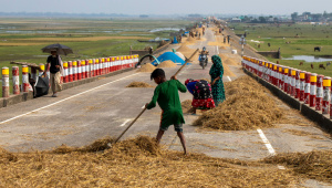 All weather road has become a development tragedy in the Haor. Photo: Orchid Chakma