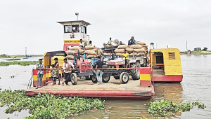 Haor-Boro-fetching-1.jpg