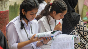 Two students studying