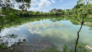 water world of sundarbans.png