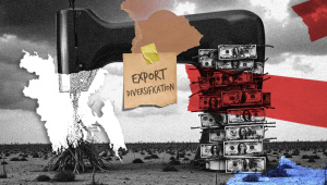 1_expert_diversification VISUAL SALMAN SAKIB SHAHRYAR.jpg