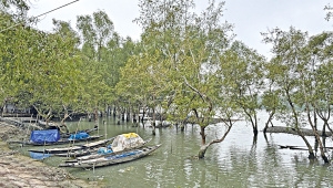 While the ban is intended to support ecological regeneration, it leaves thousands of Bonojibis..jpg