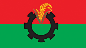 BNP national council 2026