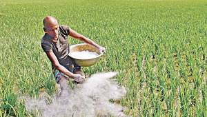 Bangladesh fertiliser stock 2026