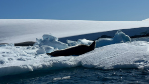 Bangladesh to Antarctica Planning the journey to the end of the world