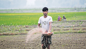Fertiliser.jpg