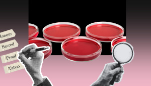 Hierarchgy of morality_blood.jpg
