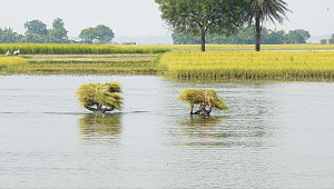 Rajshahi.jpg