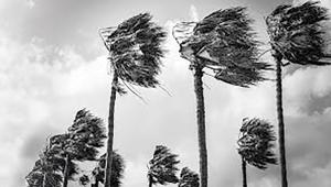 winds-recourse.jpg