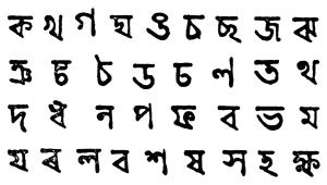 language4.jpg