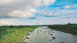 tidal-river-management.jpg