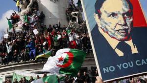 Algerina.jpg
