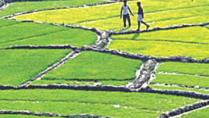 beautiful bangladesh 1.jpg