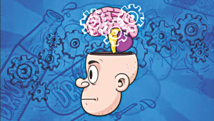 brain.jpg