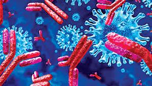 covid-virus.jpg
