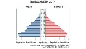 demography