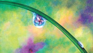 Dewdrops.jpg