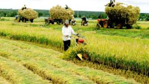 farmer