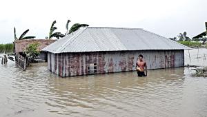flood.jpg