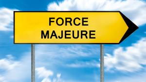 force.jpg