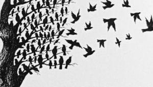 fragmented