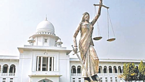 law.jpg