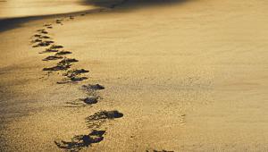 Sand by the Sea