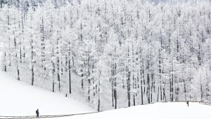 Snow fall