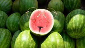 watermelon.jpg