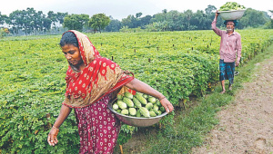 sustainable-global-food-system.jpg